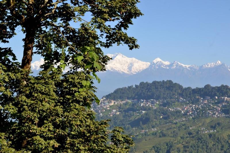 Darjeeling Bnb Esterno foto