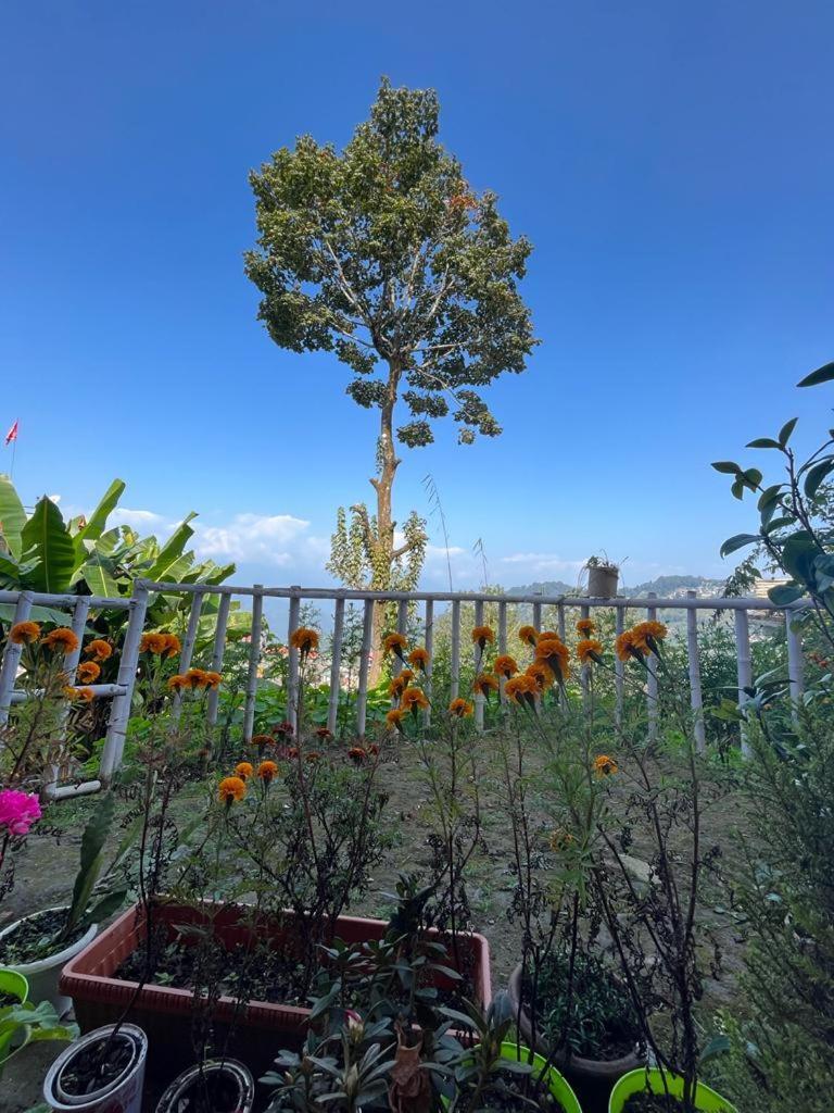 Darjeeling Bnb Esterno foto